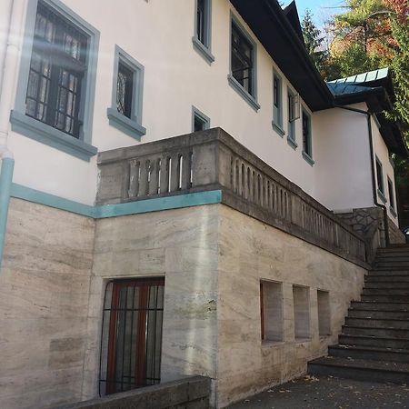 Hotel Tantzi Sinaia Bagian luar foto