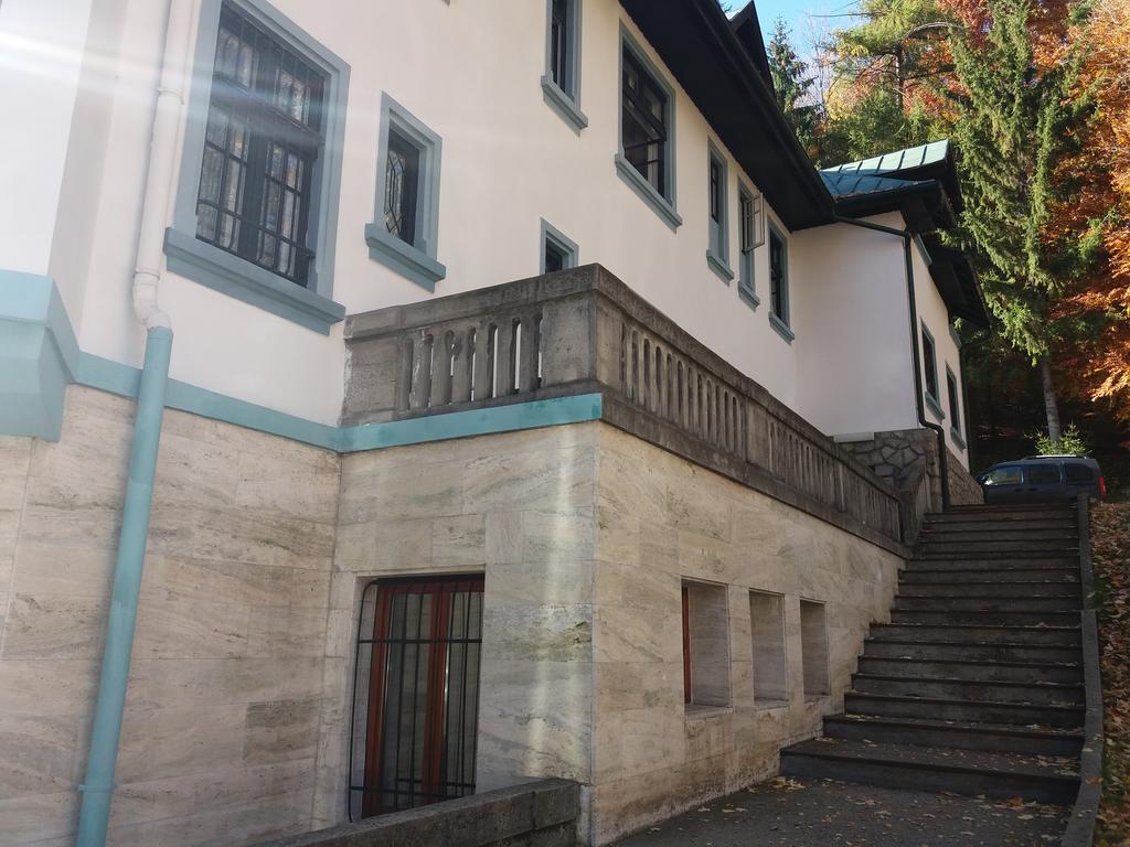 Hotel Tantzi Sinaia Bagian luar foto