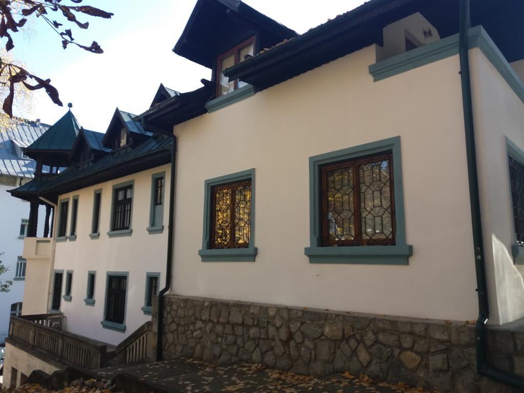 Hotel Tantzi Sinaia Bagian luar foto