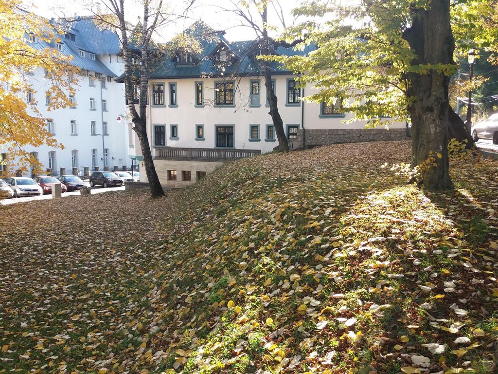 Hotel Tantzi Sinaia Bagian luar foto